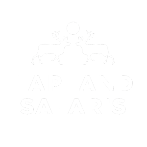 lapland safaris Digital Marketing
